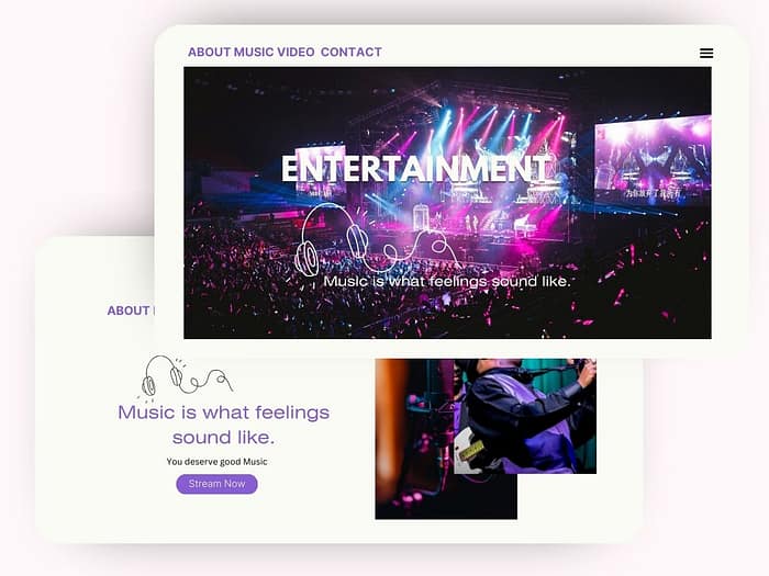 Entertainment Web Design and Development in Lagos - pic 1